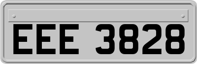 EEE3828