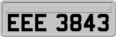EEE3843