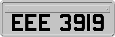 EEE3919