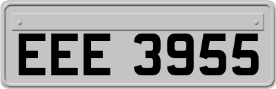 EEE3955