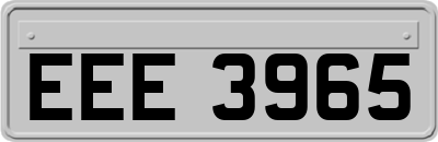 EEE3965