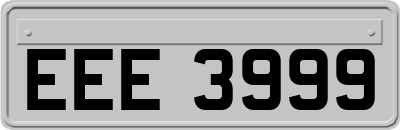 EEE3999