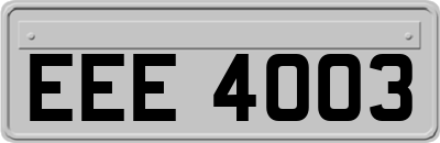 EEE4003