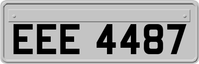 EEE4487