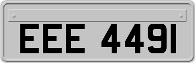 EEE4491