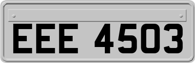 EEE4503