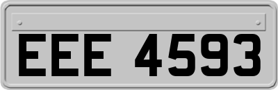 EEE4593