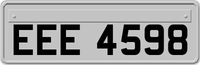 EEE4598