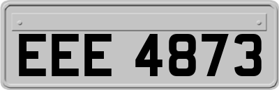 EEE4873