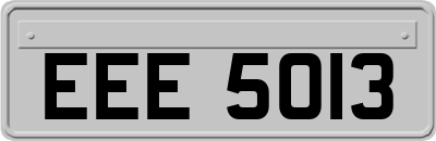 EEE5013