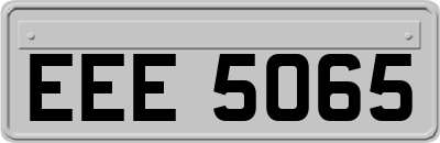 EEE5065
