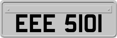 EEE5101