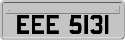 EEE5131