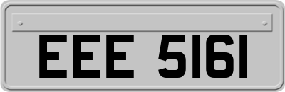 EEE5161
