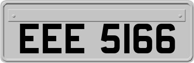 EEE5166
