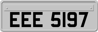 EEE5197