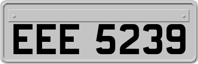 EEE5239