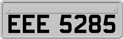 EEE5285