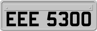 EEE5300