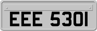 EEE5301
