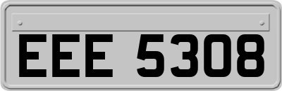 EEE5308