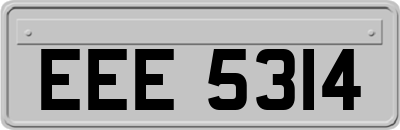 EEE5314