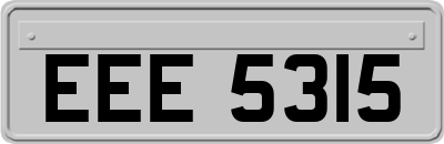 EEE5315