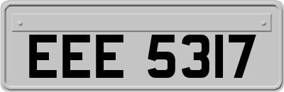 EEE5317