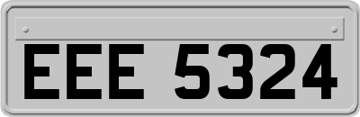EEE5324