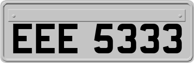 EEE5333