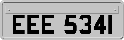 EEE5341