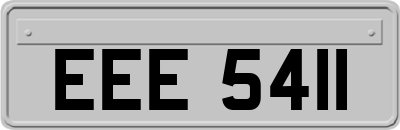 EEE5411