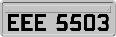 EEE5503