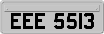 EEE5513