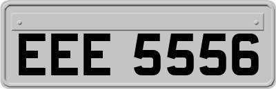 EEE5556