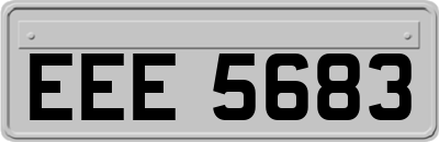 EEE5683