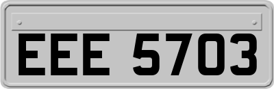 EEE5703