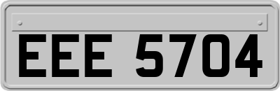 EEE5704