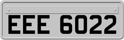 EEE6022