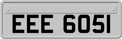 EEE6051