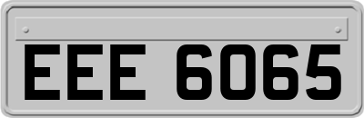 EEE6065