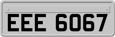 EEE6067