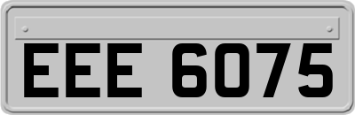 EEE6075