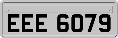 EEE6079