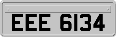 EEE6134