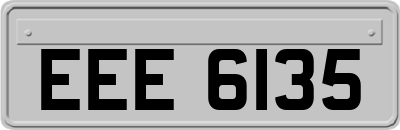 EEE6135
