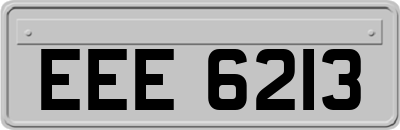 EEE6213