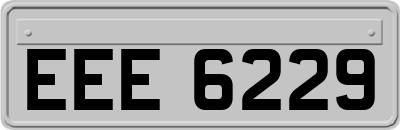 EEE6229