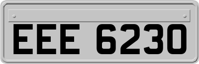 EEE6230