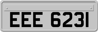 EEE6231